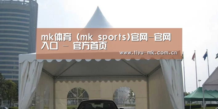 案例标题八