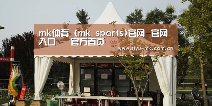 案例标题五
