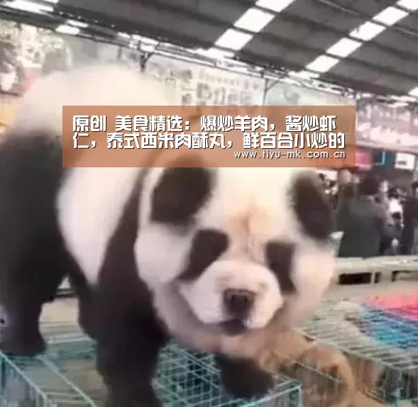 mk体育