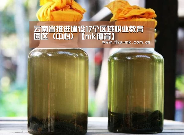 云南省推进建设17个区域职业教育园区(中心)【mk体育】(图3) mk体育官方
