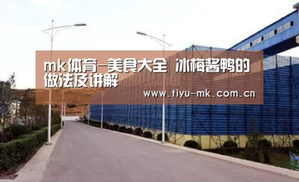 mk体育-美食大全 冰梅酱鸭的做法及讲解