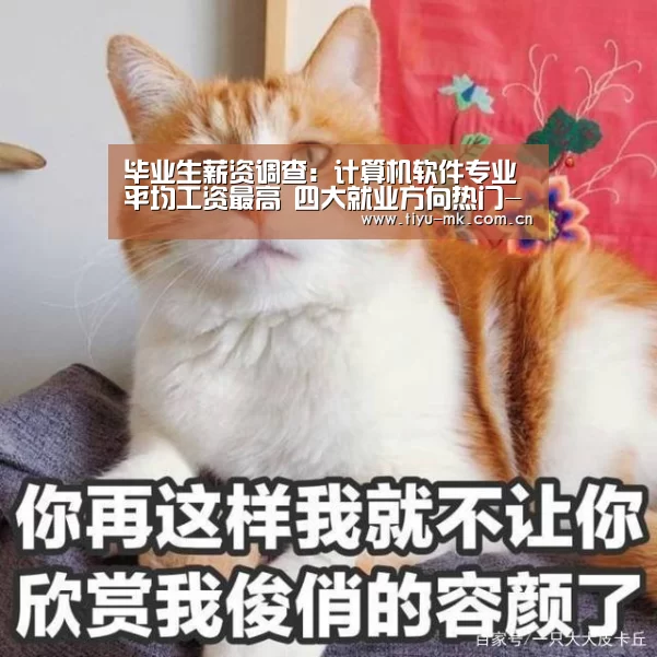 毕业生薪资调查:计算机软件专业平均工资最高 四大就业方向热门-mk体育下载(图3) mk体育官方