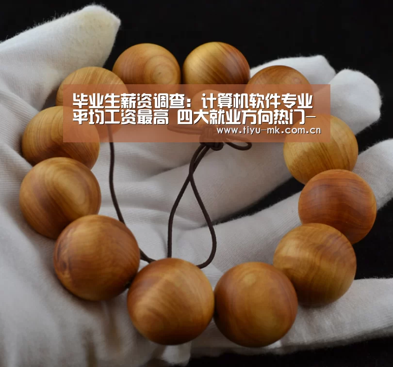 毕业生薪资调查:计算机软件专业平均工资最高 四大就业方向热门-mk体育下载(图2) mk体育app