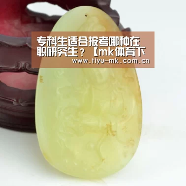 专科生适合报考哪种在职研究生?【mk体育下载】
