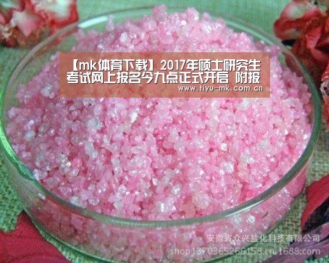 【mk体育下载】2017年硕士研究生考试网上报名今九点正式开启 附报名通道入口