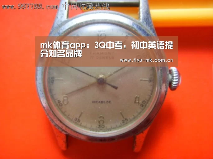 mk体育app:3Q中考,初中英语提分知名品牌(图4) mk体育app