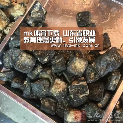 mk体育下载_山东省职业教育理念更新、引领发展专家巡回报告会在潍坊市召开(图2) mk体育官方