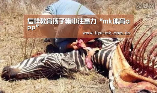 怎样教育孩子集中注意力“mk体育app”